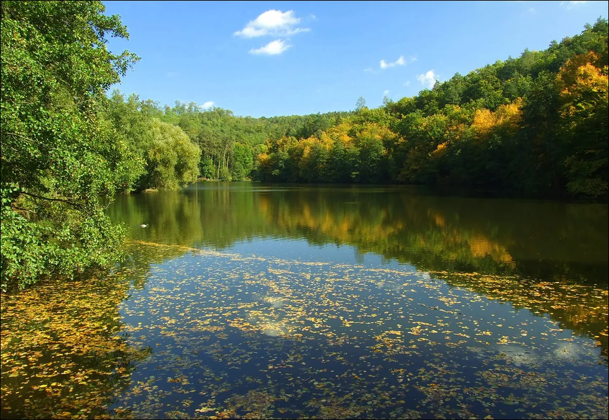 12 Best Mariánské Údolí Valley Nature Walks in Brno