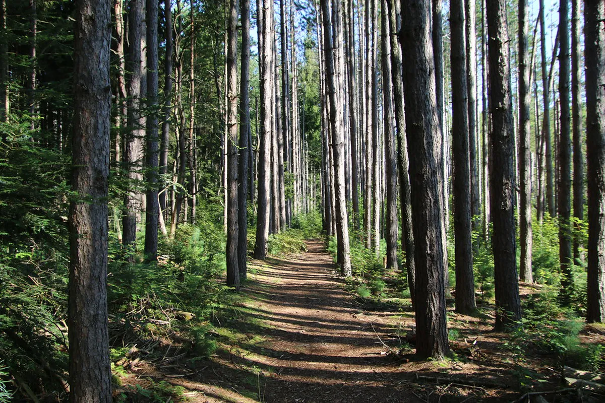Quiet Walking Paths Špilberk Park: A Peaceful Guide
