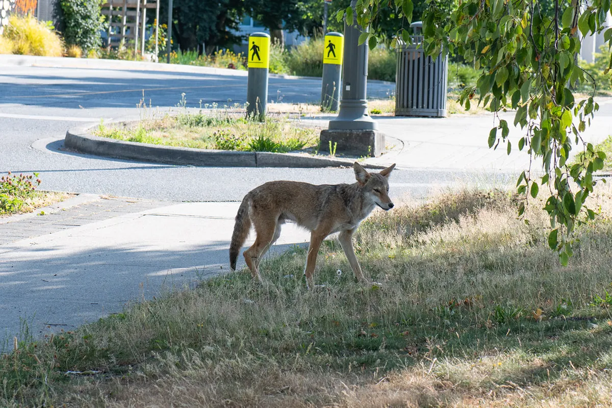 Latrán Neighborhood Historical Walk: A 2-Day Guide
