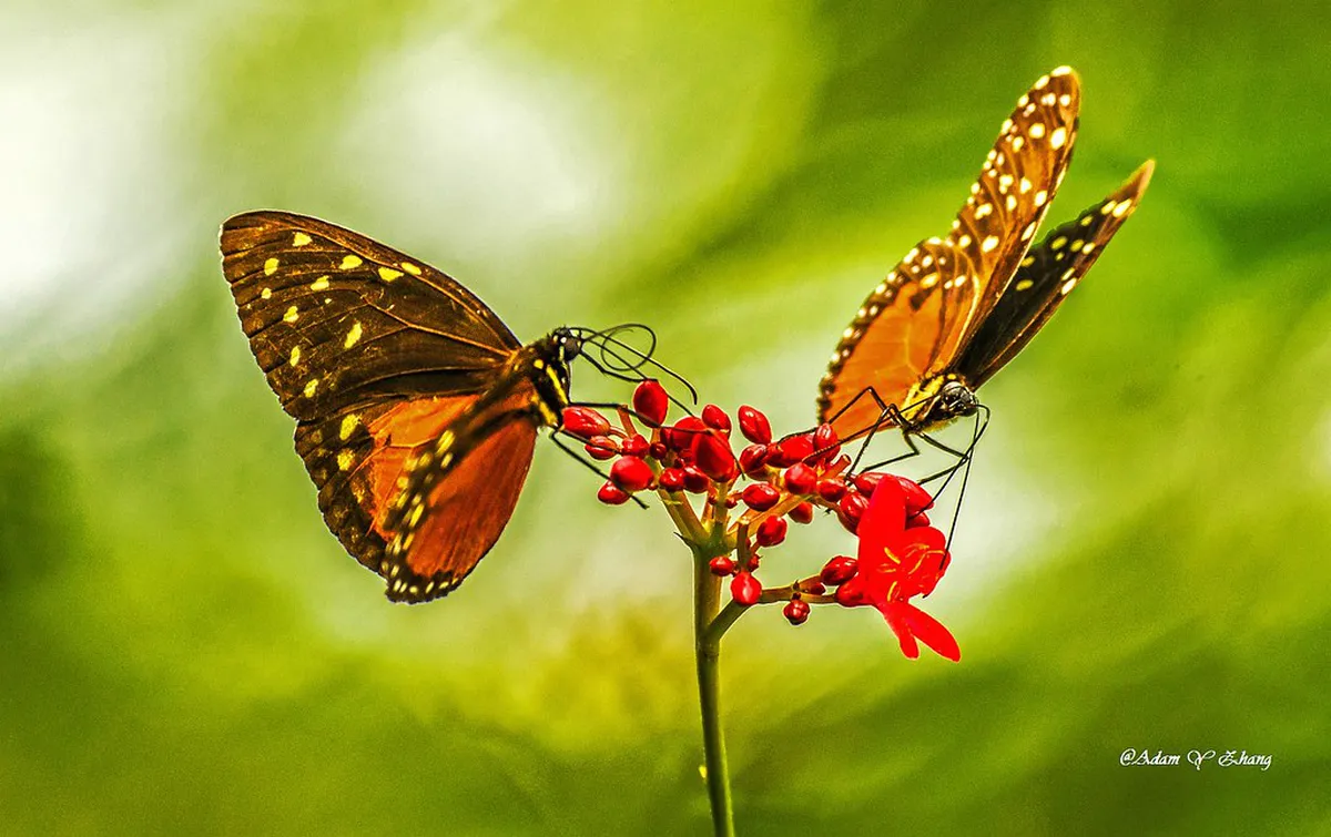 11 Best Things to Do Near Peaceful Městský Park Riverside