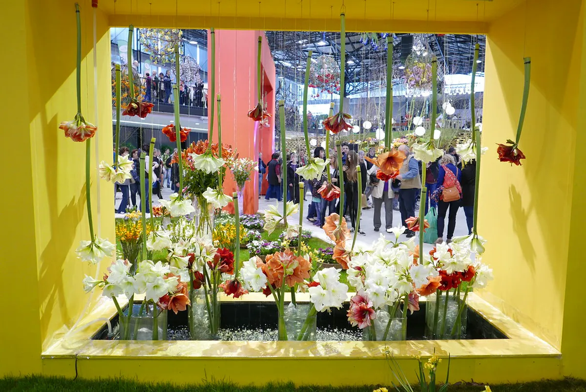 Best Times to Visit Flora Olomouc and City Parks