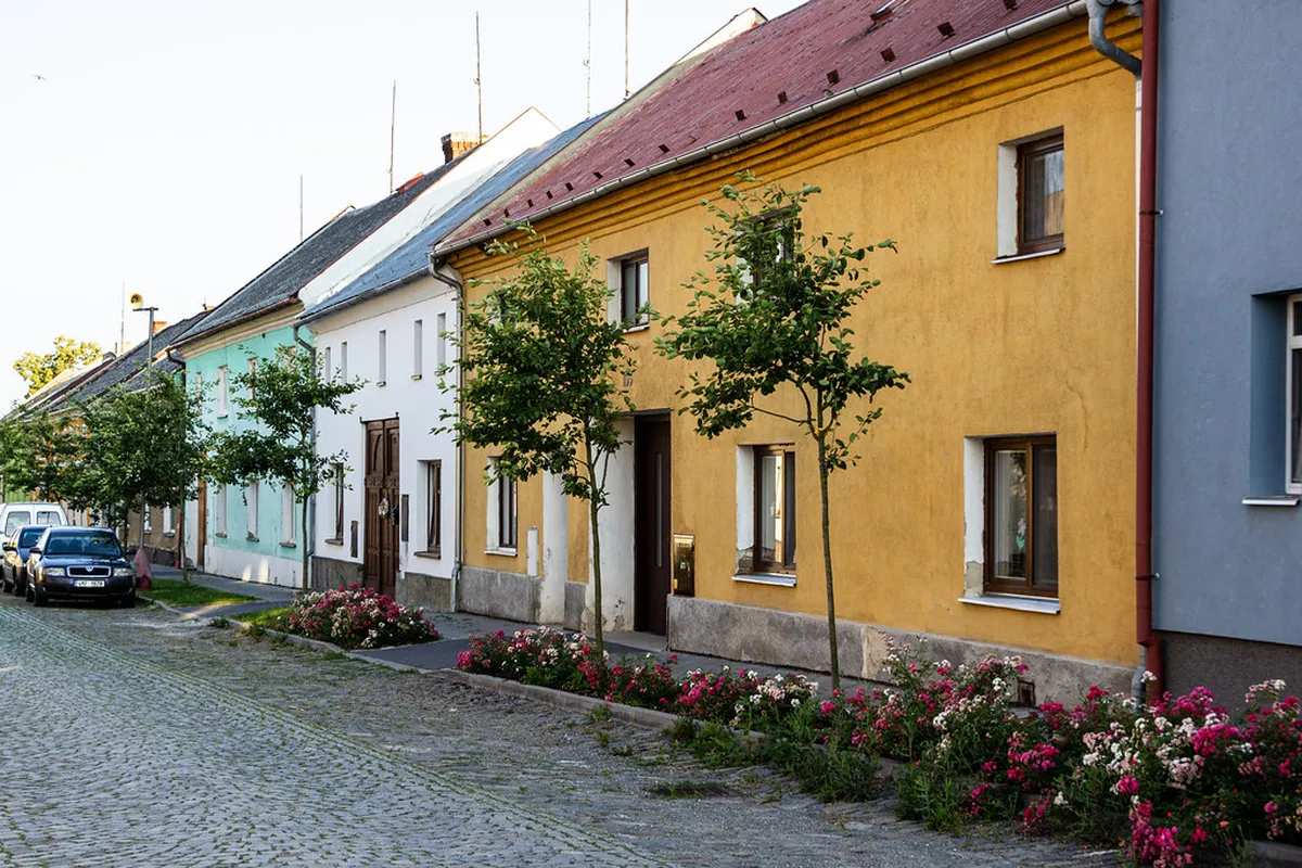 Litovelské Pomoraví Nature Reserve Day Trip Guide
