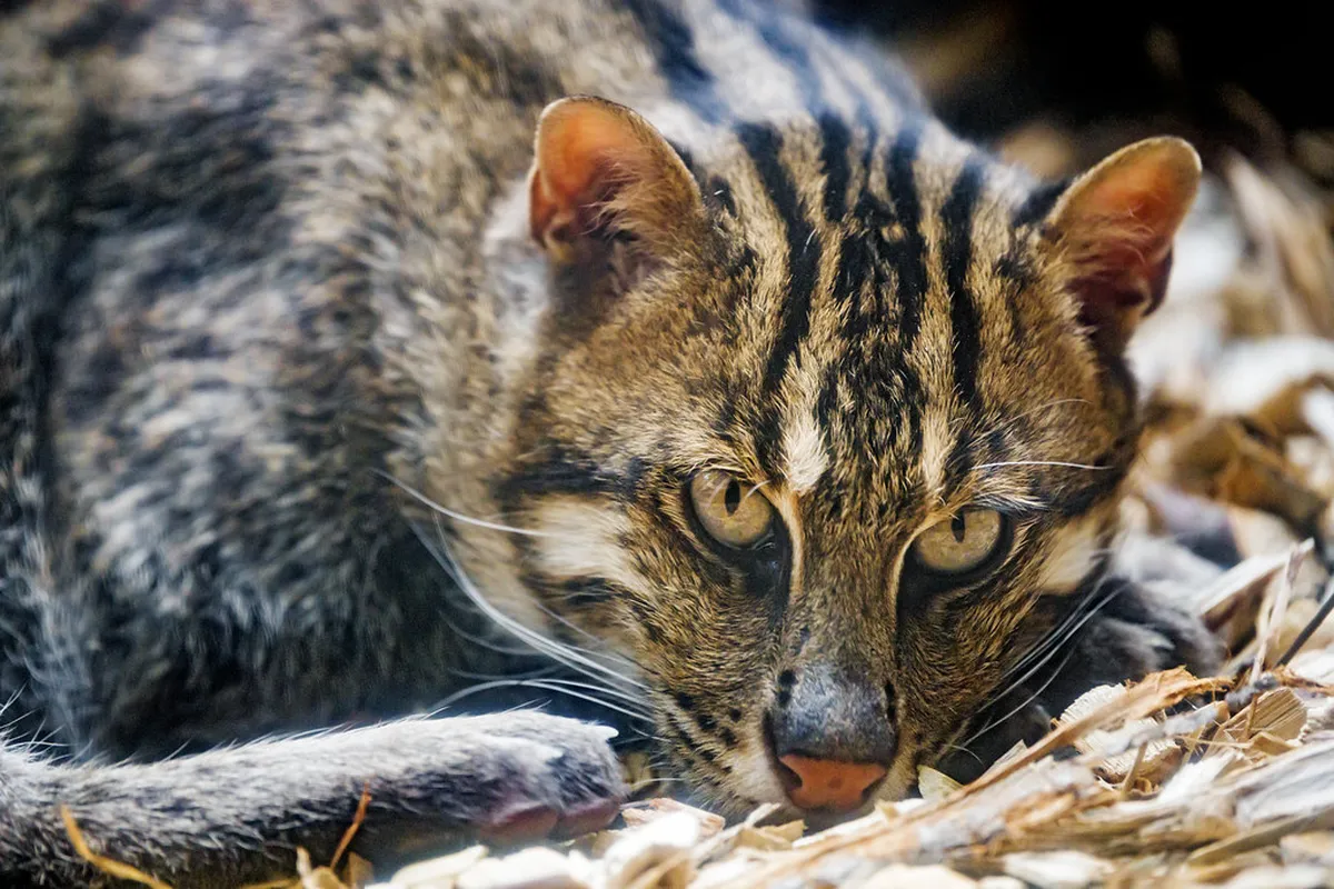 10 Eerie Olomouc Dark Tourism and Ghost Legends Sites