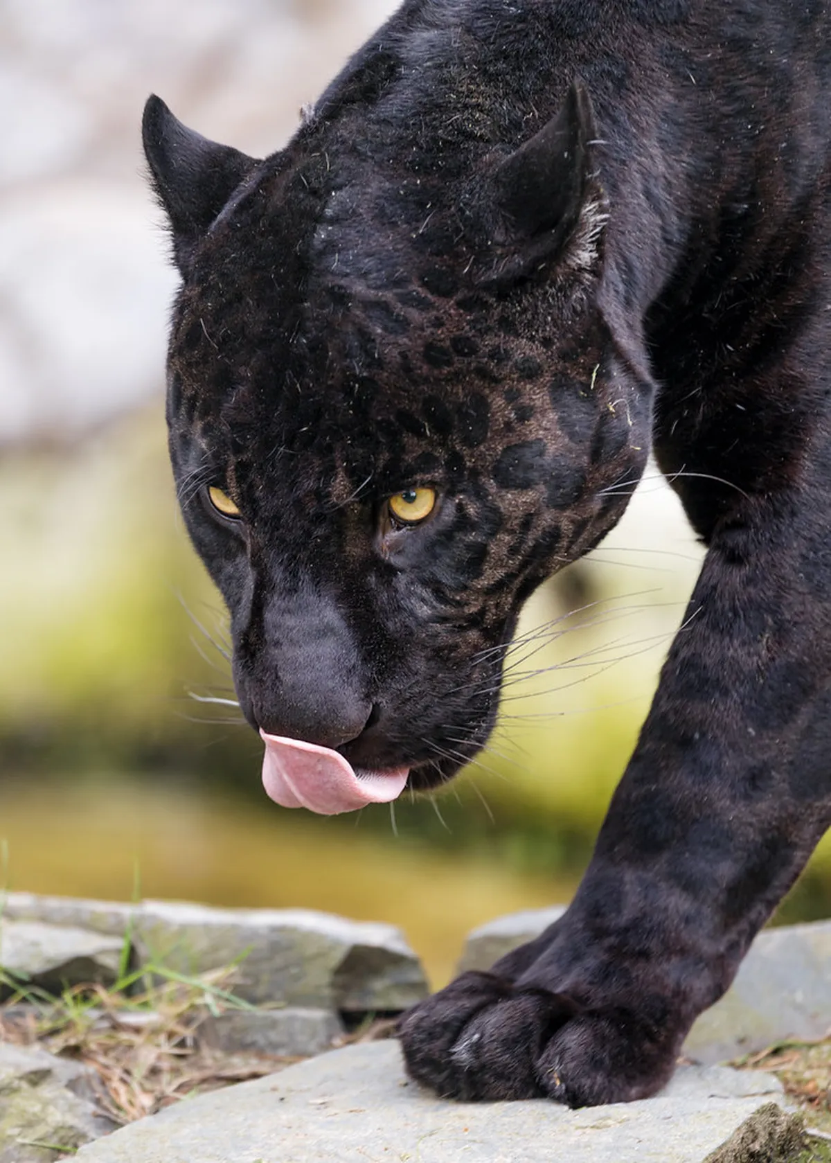 Walking the Olomouc City Walls and Gardens: 1-Day Guide