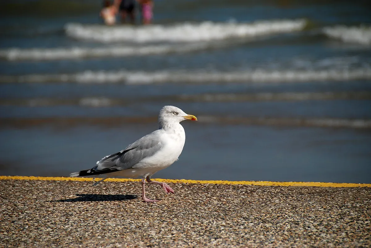 10 Best Exhibits at Techmania Science Center Plzeň