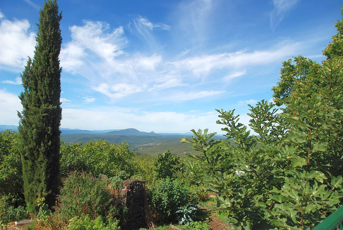 Best Time to Visit DinoPark Plzeň with Kids