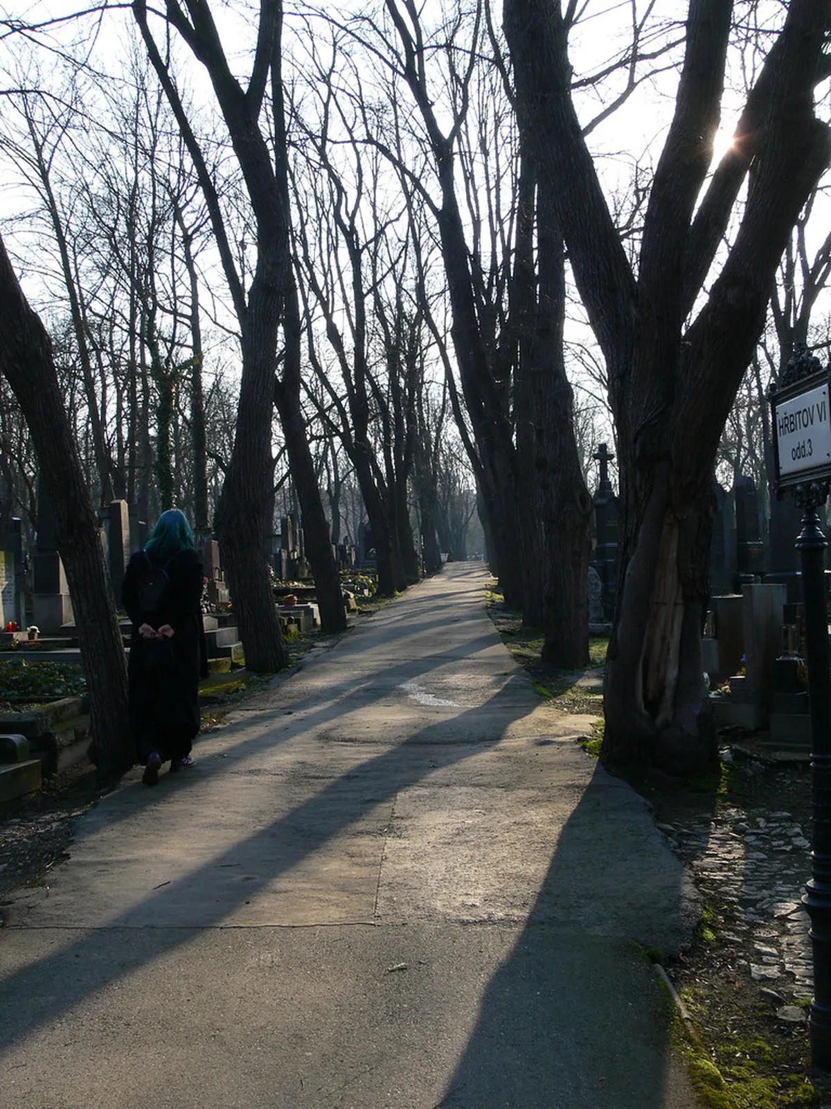 Olsany Cemetery Prague Walking Tour: A 2026 Guide