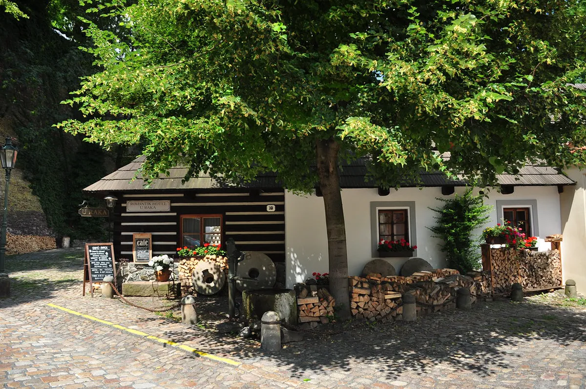 10 Best Quiet Cafes in Prague for Reading (2026 Guide)