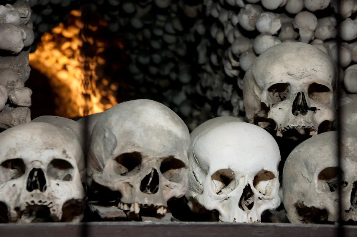 Sedlec Ossuary Bone Church Day Trip: Complete Guide